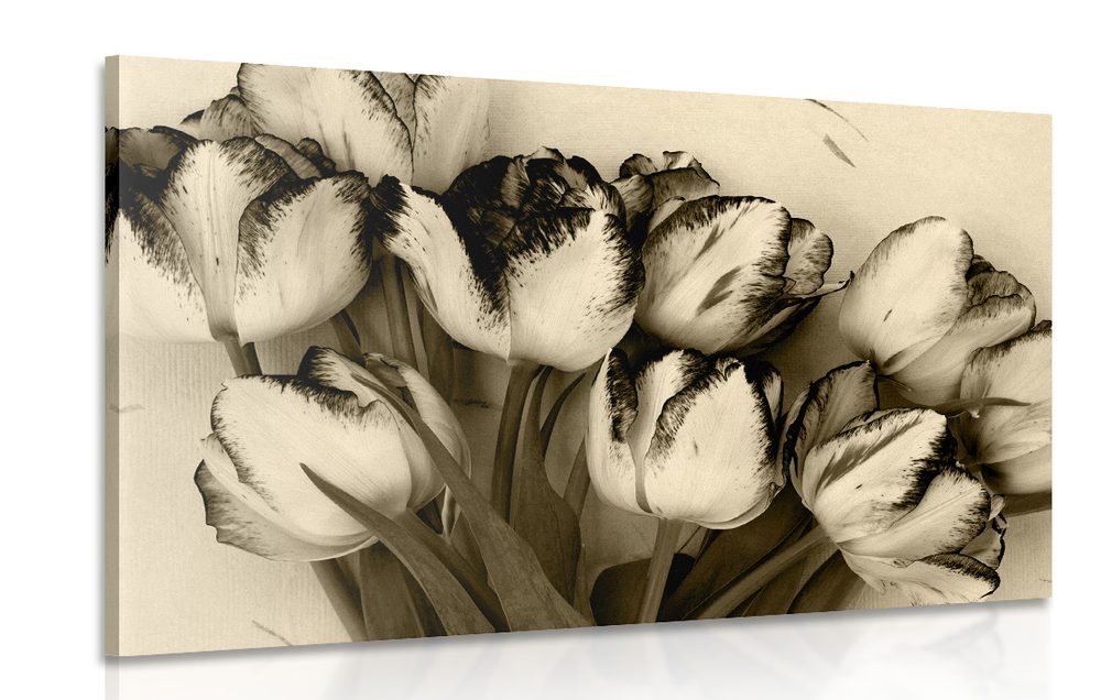 Kép tavaszi tulipánok szépia kivitelben