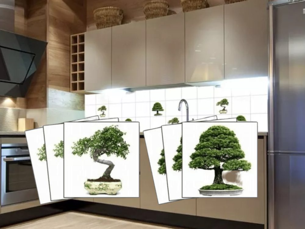 Csempematrica bonsai