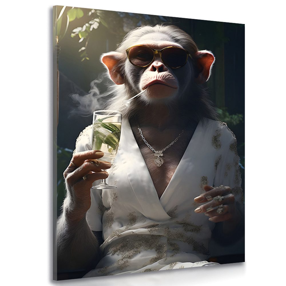 Kép állati gengszter majom