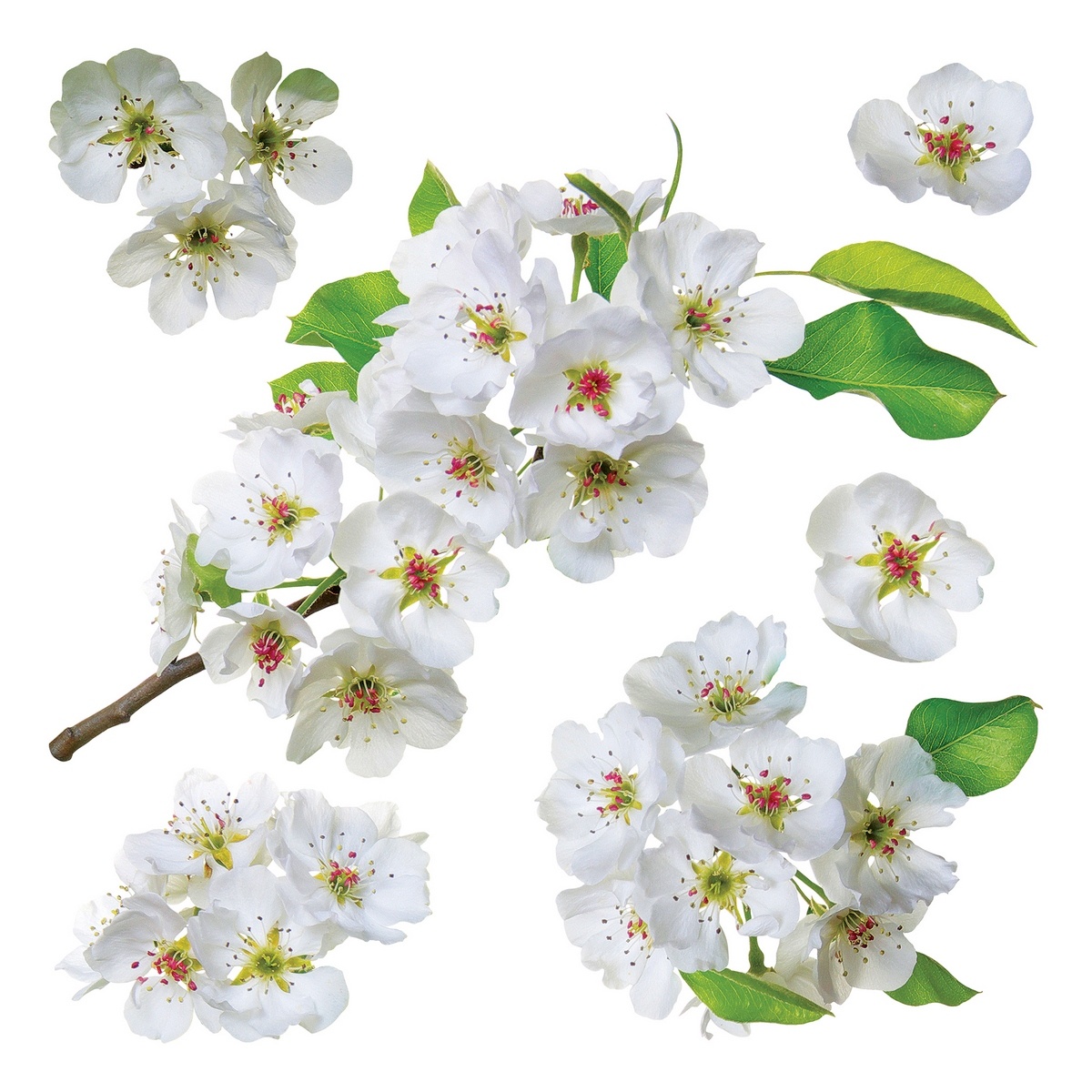 Apple blossom öntapadó dekoráció, 30 x 30 cm