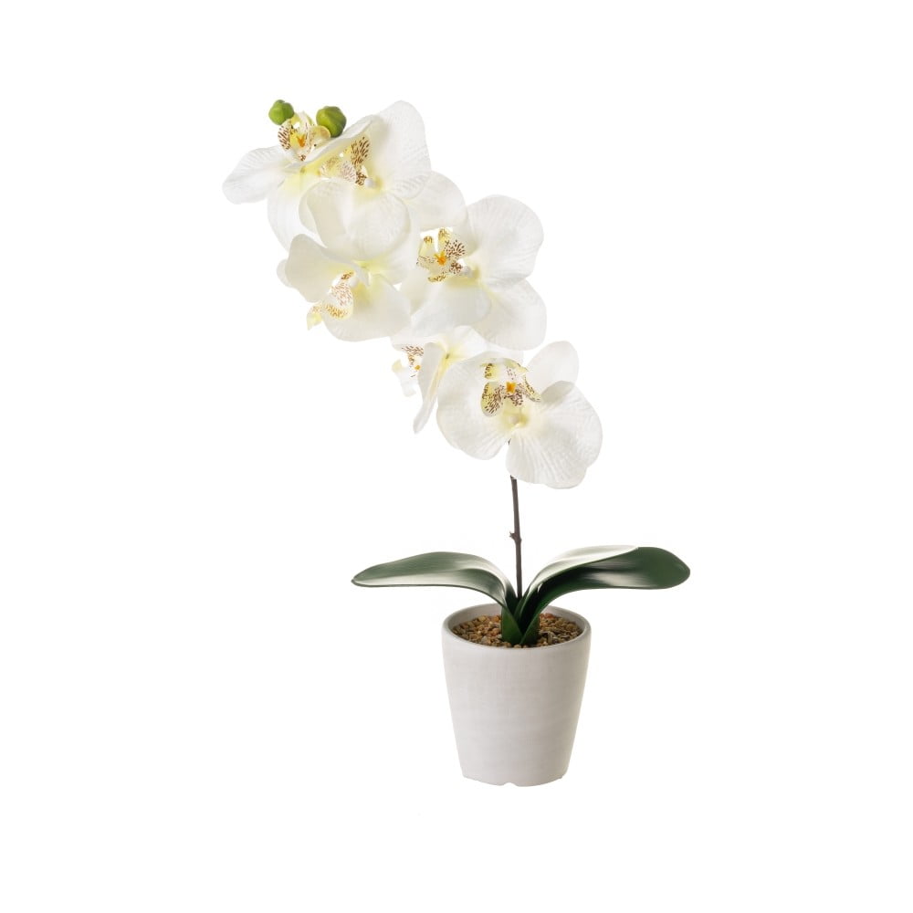 Műnövény (magasság 45 cm) Orchid – Casa Selección