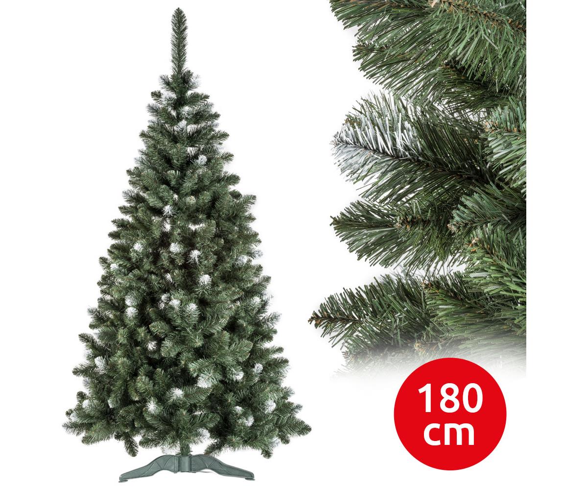  Karácsonyfa POLA 180 cm fenyő 