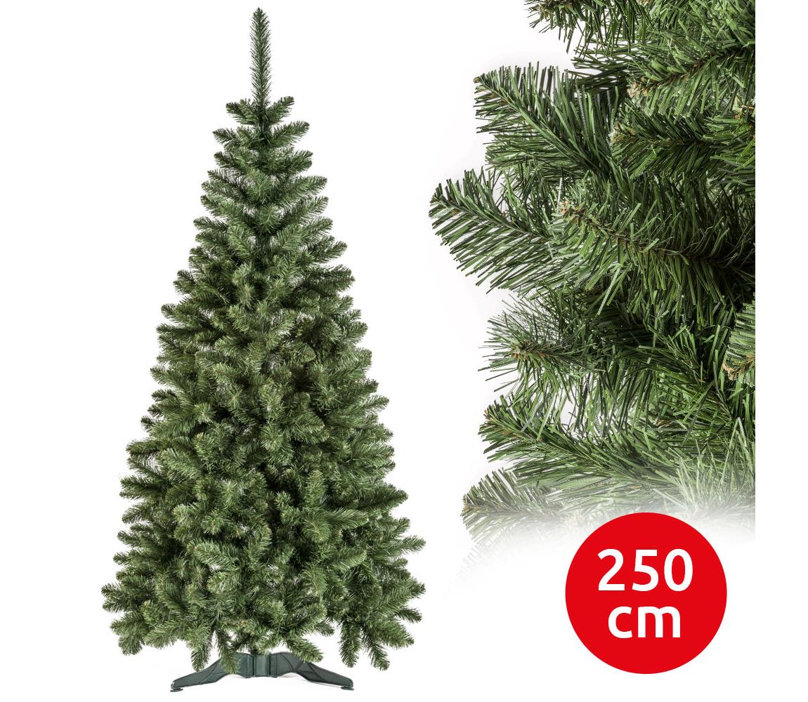  Karácsonyfa POLA 250 cm fenyő 