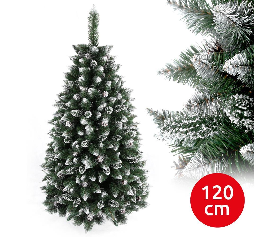  Karácsonyfa TAL 120 cm borókafenyő 