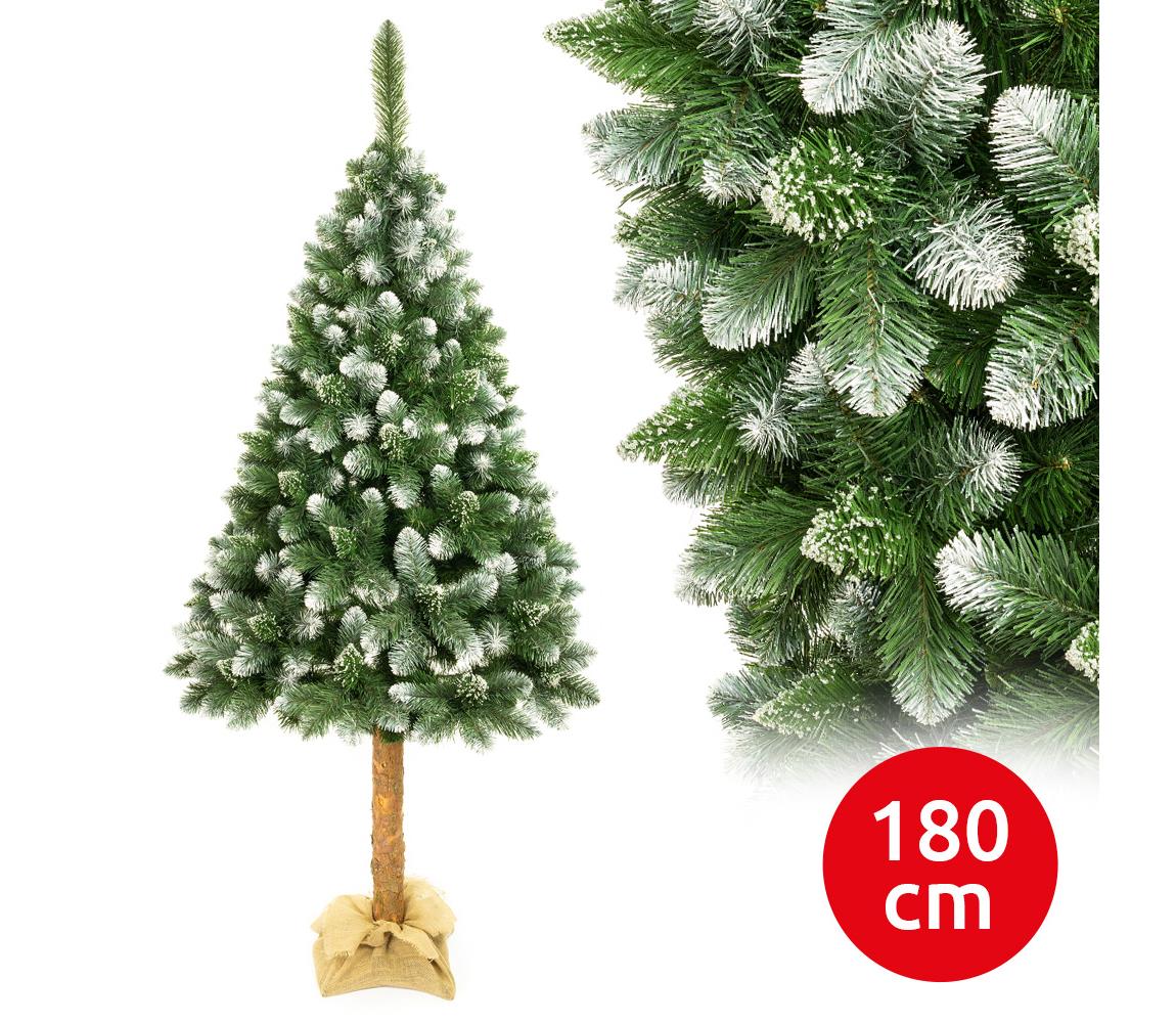  Karácsonyfa tönkön 180 cm fenyő 