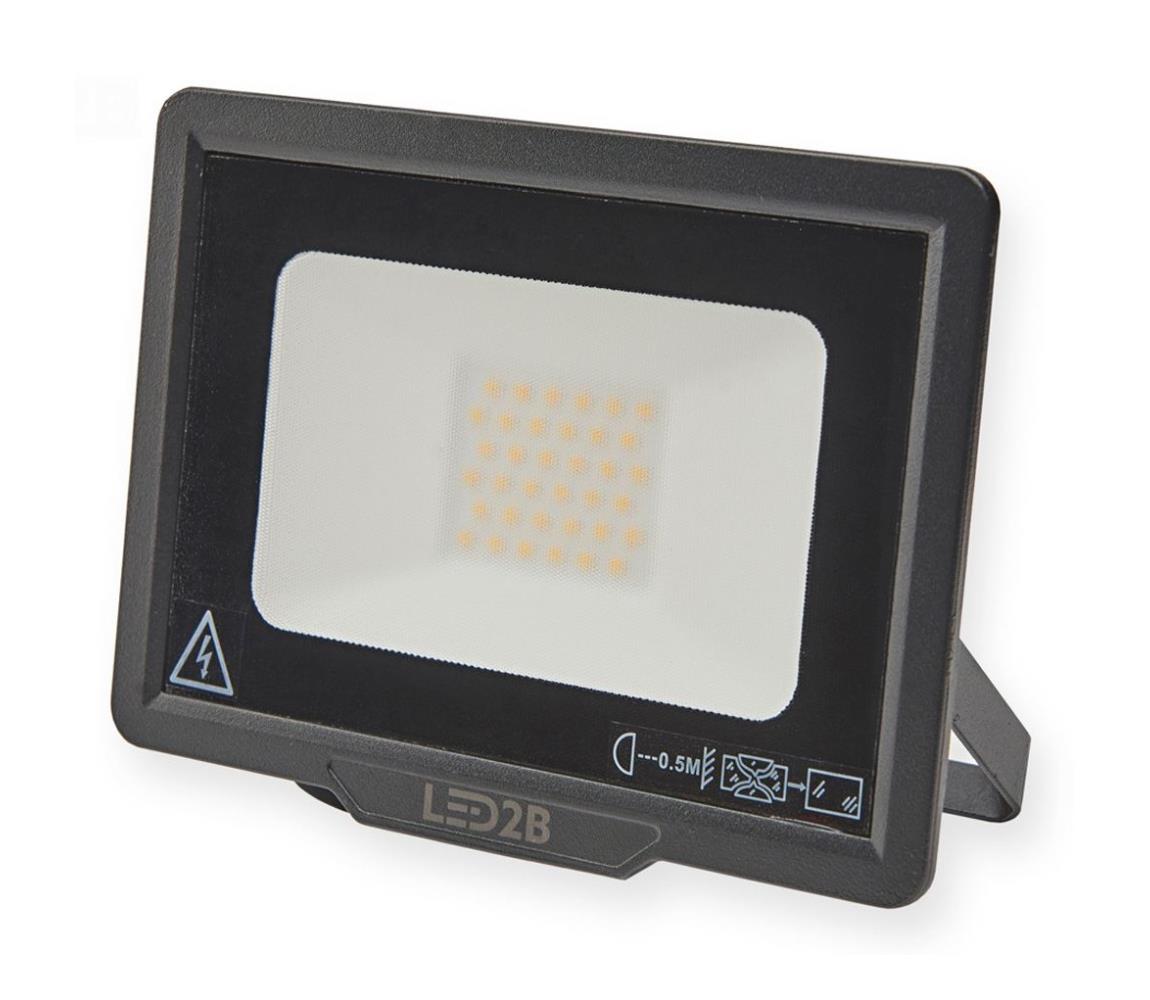  LED Kültéri reflektor LED/30W/230V 6500K IP65 
