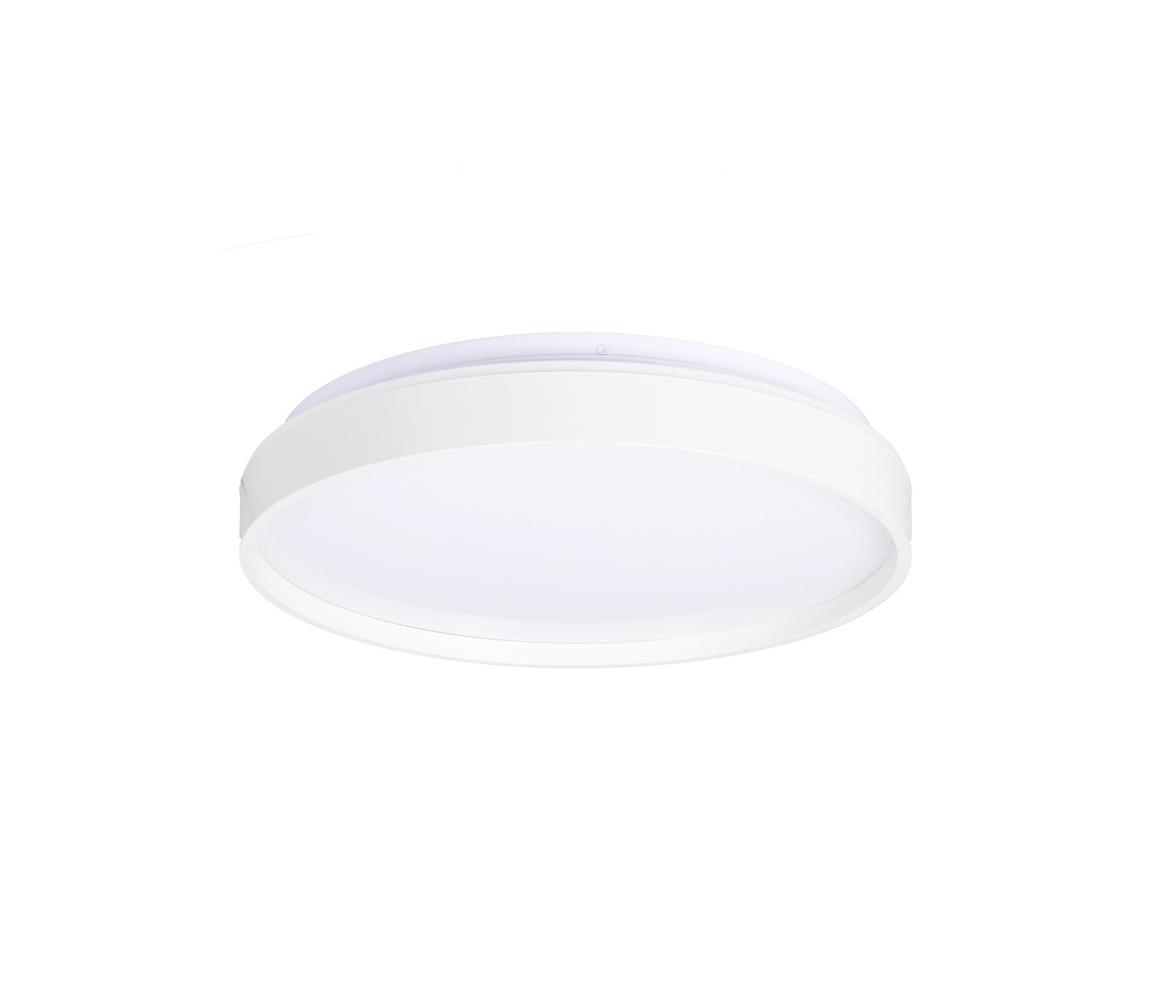  LED Mennyezeti lámpa TEXAS LED/15W/230V fehér 