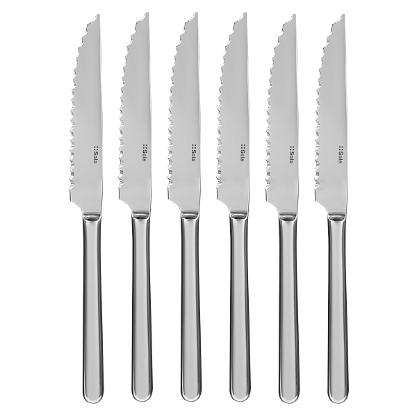 6 darab steak kés ezüst magnetes dobozban - Como