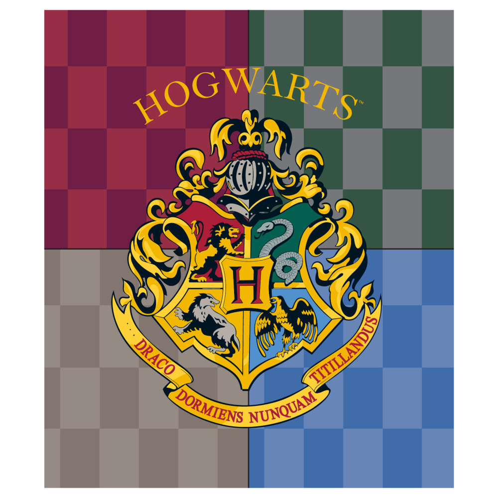 Harry Potter Hogwarts coral fleece polár takaró 120x150cm