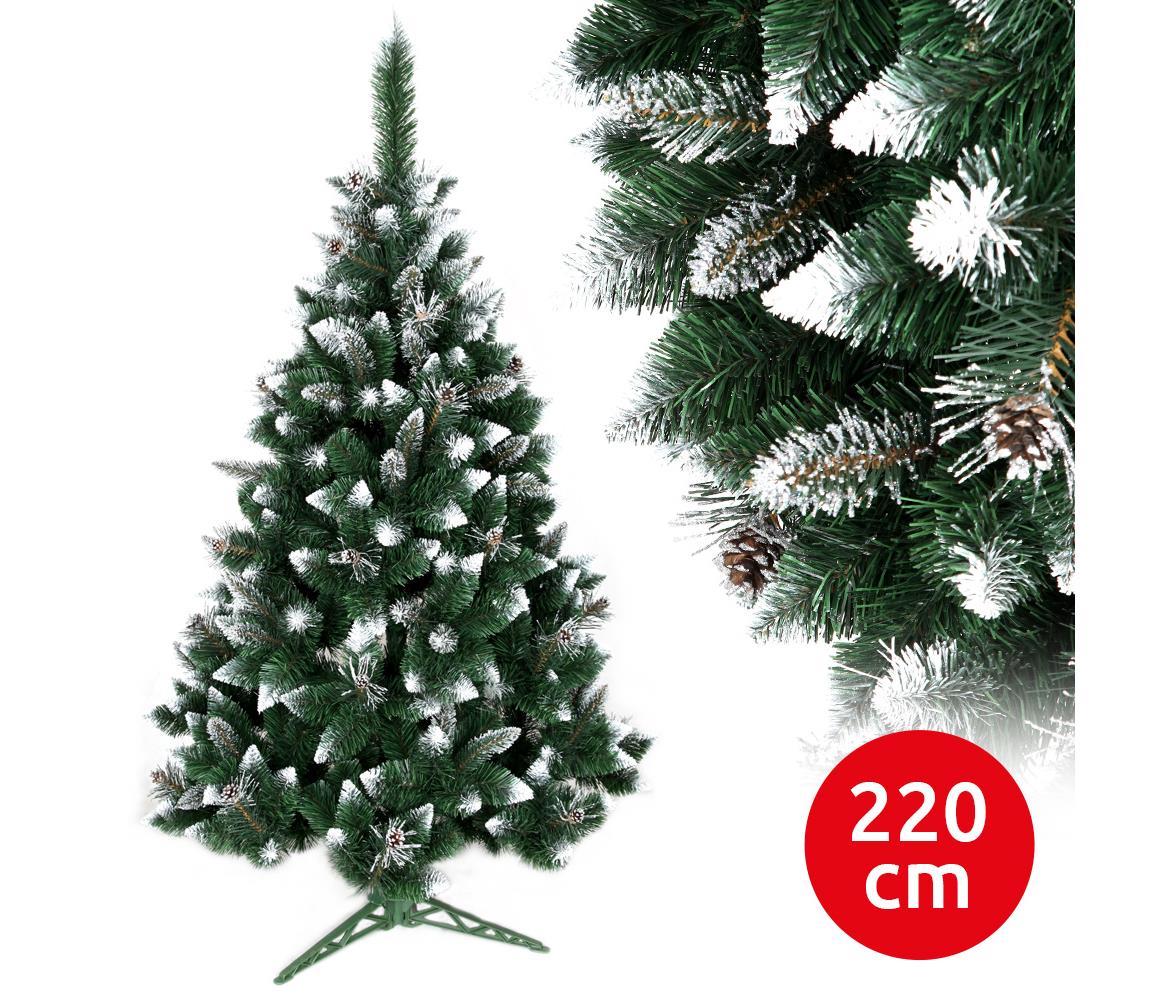  Karácsonyfa TAL 220 cm borókafenyő 