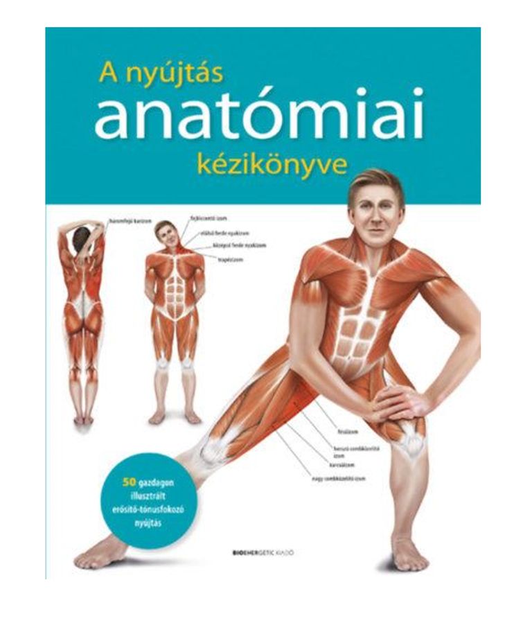 Prof. dr. Ken Ashwell - A nyújtás anatómiai kézikönyve