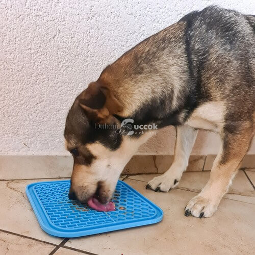 Purlov - Nyalogatós tányér kutyáknak