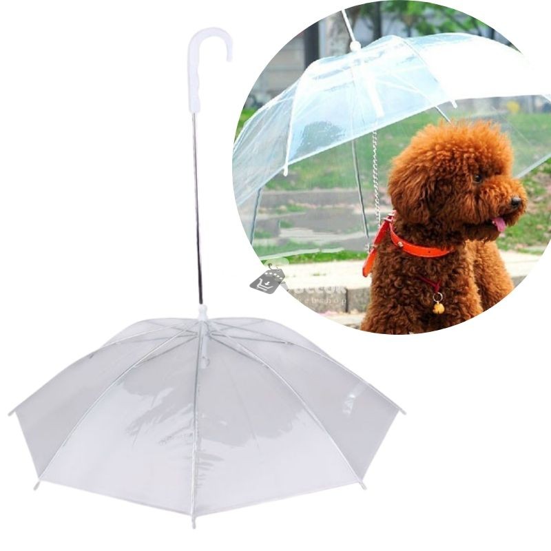 Kutya esernyő pórázzal