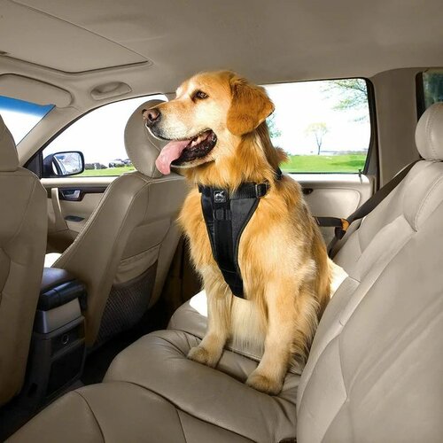 Kurgo Biztonsági hám kutyáknak autóövvel, fekete,XL