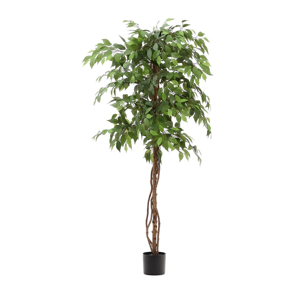 Fikusz műnövény (magasság 180 cm) Ficus – Kave Home