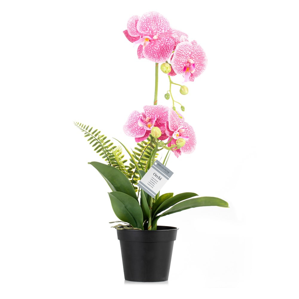 Művirág (magasság 55 cm) Orchid – AmeliaHome