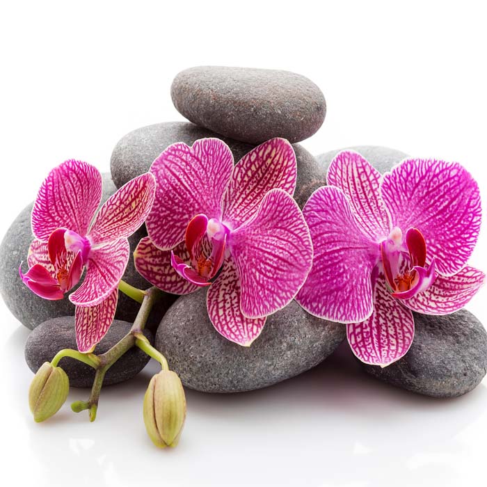 Három orchidea - üvegkép