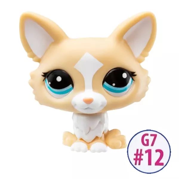 Littlest Pet Shop: Játékfigura #12 - Csivava
