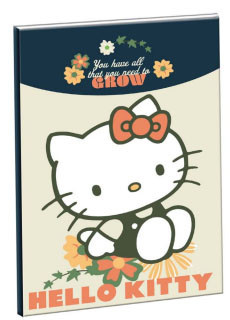 Hello Kitty Stay Sunny B/5 vonalas füzet 40 lapos