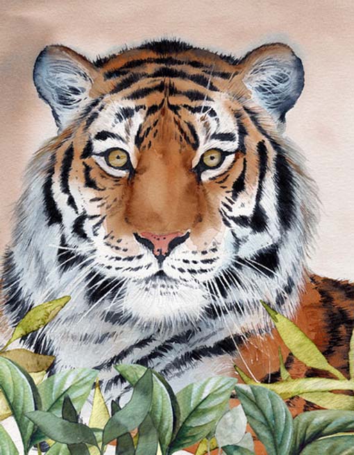 Figyelő tigris - vászonkép