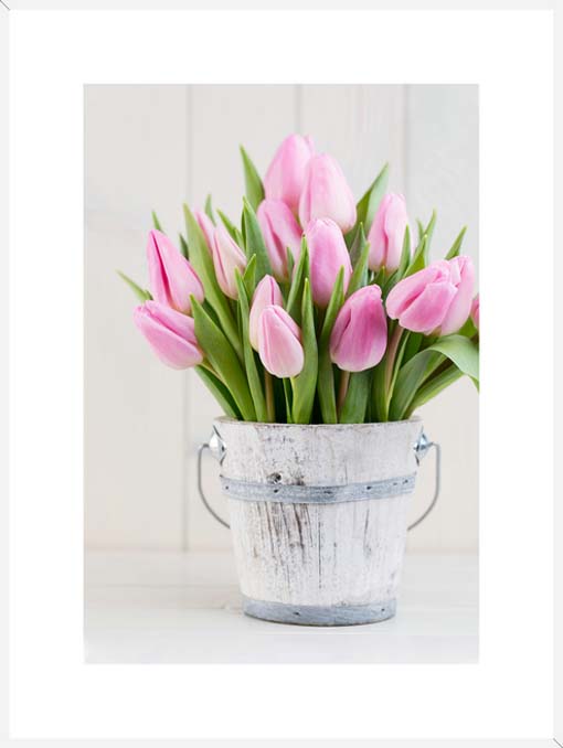 Friss tulipánok - keretezett üvegkép