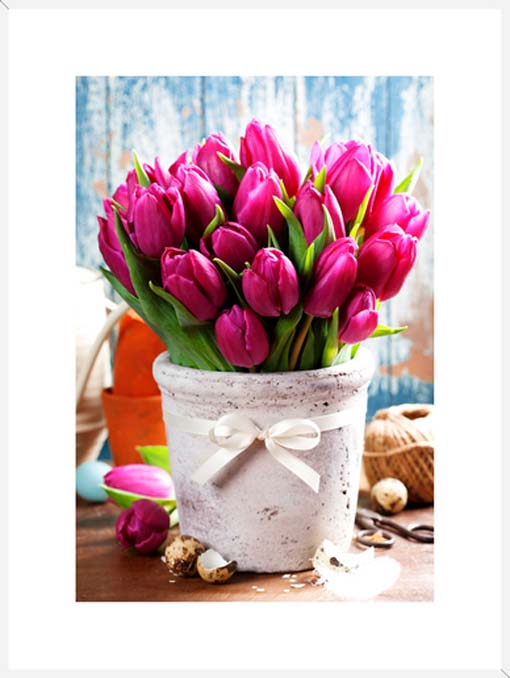 Pink tulipán csokor - keretezett üvegkép