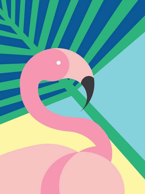 Rózsaszín flamingó - vászonkép