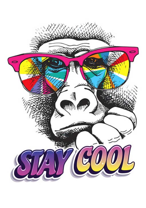 Stay cool - vászonkép