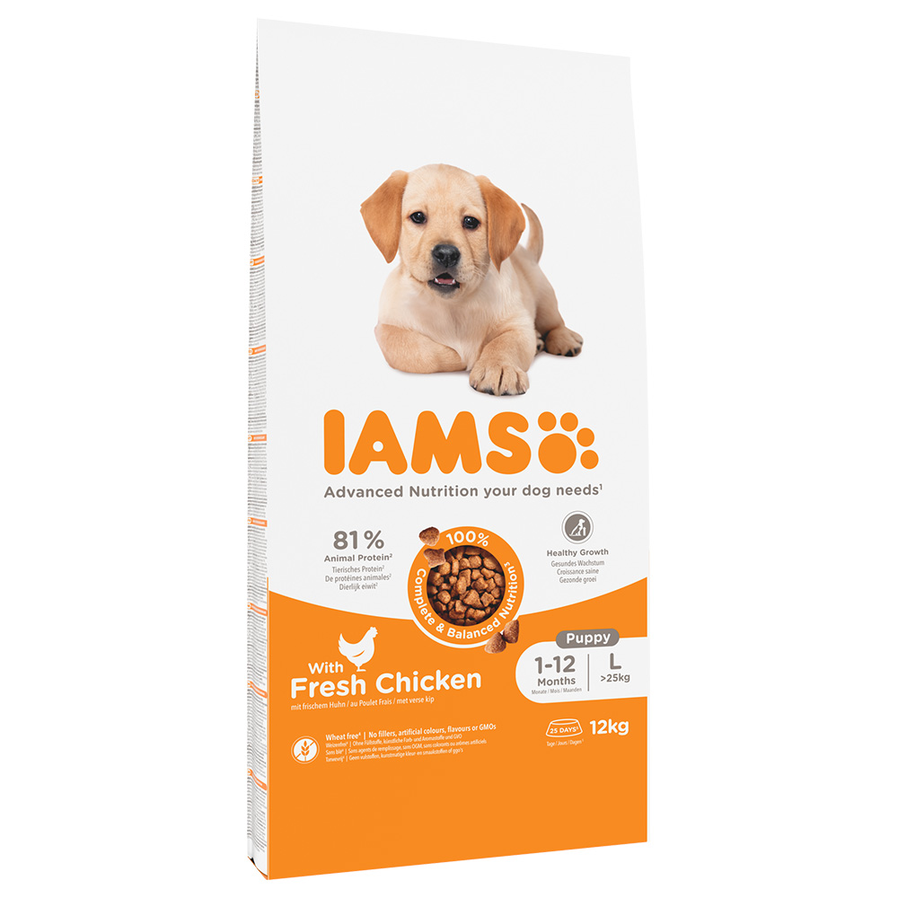 2x12kg IAMS Advanced Nutrition Puppy Large csirke száraz kutyatáp