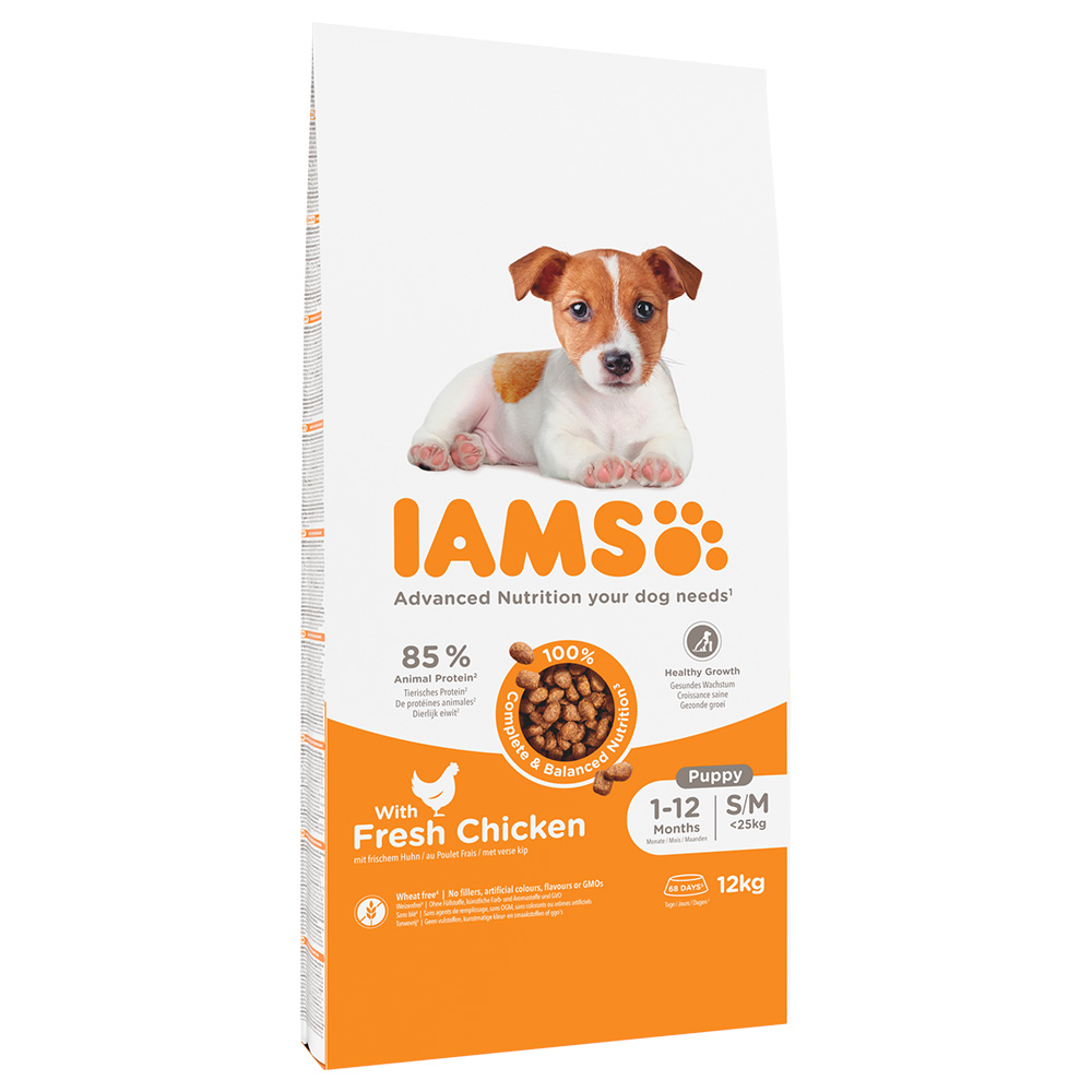 2x12kg IAMS Advanced Nutrition Puppy Small/Medium Breed száraz kutyatáp