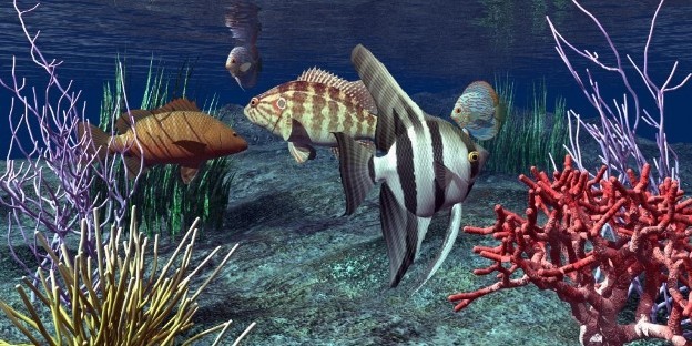 A tenger mélyén, akvárium matrica