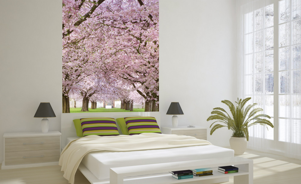 Cseresznyefa virágzás, poszter tapéta 150*250 cm