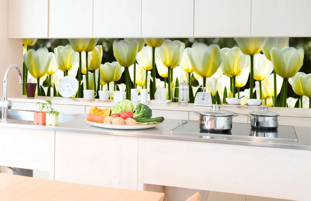 Fehér tulipánok, konyhai matrica hátfal, 350 cm