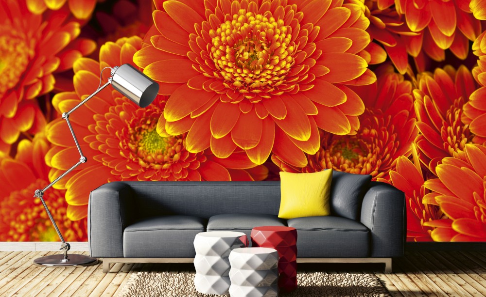Narancssárga virágok, poszter tapéta 375*250 cm