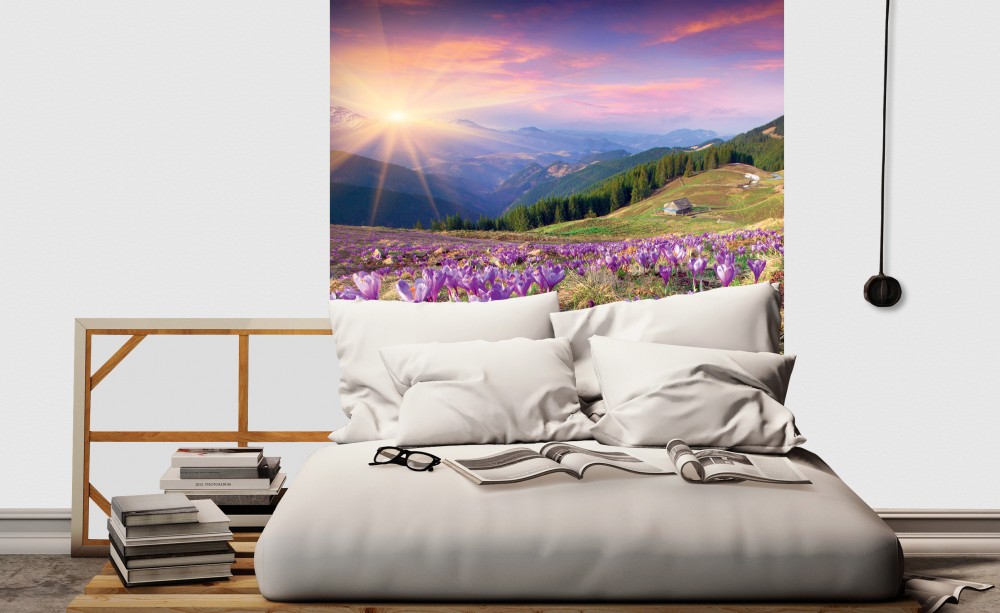 Virágos naplemente, poszter tapéta 225*250 cm