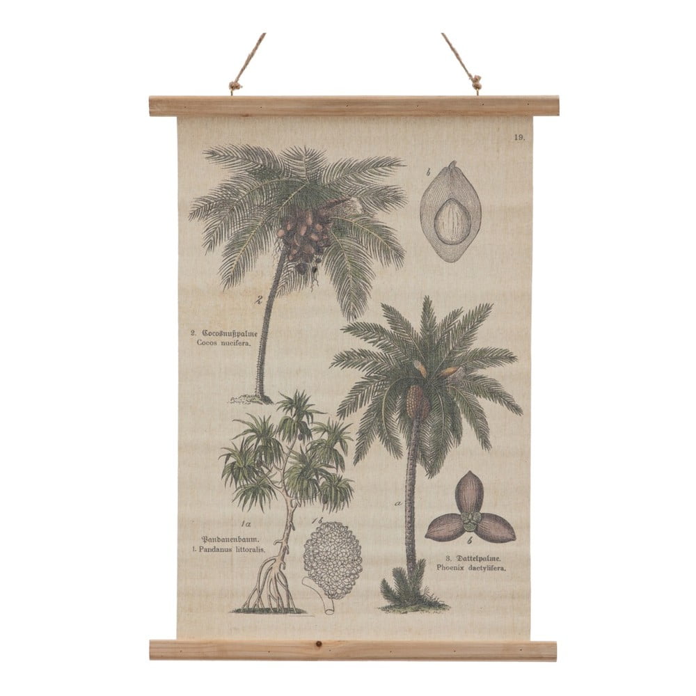 Faliszőnyeg 50x70 cm Palm – Ixia