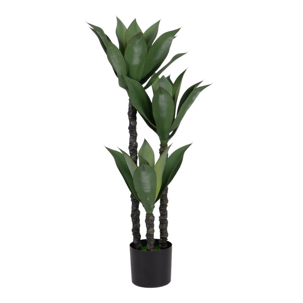 Műnövény (magasság 120 cm) Agave – Ixia