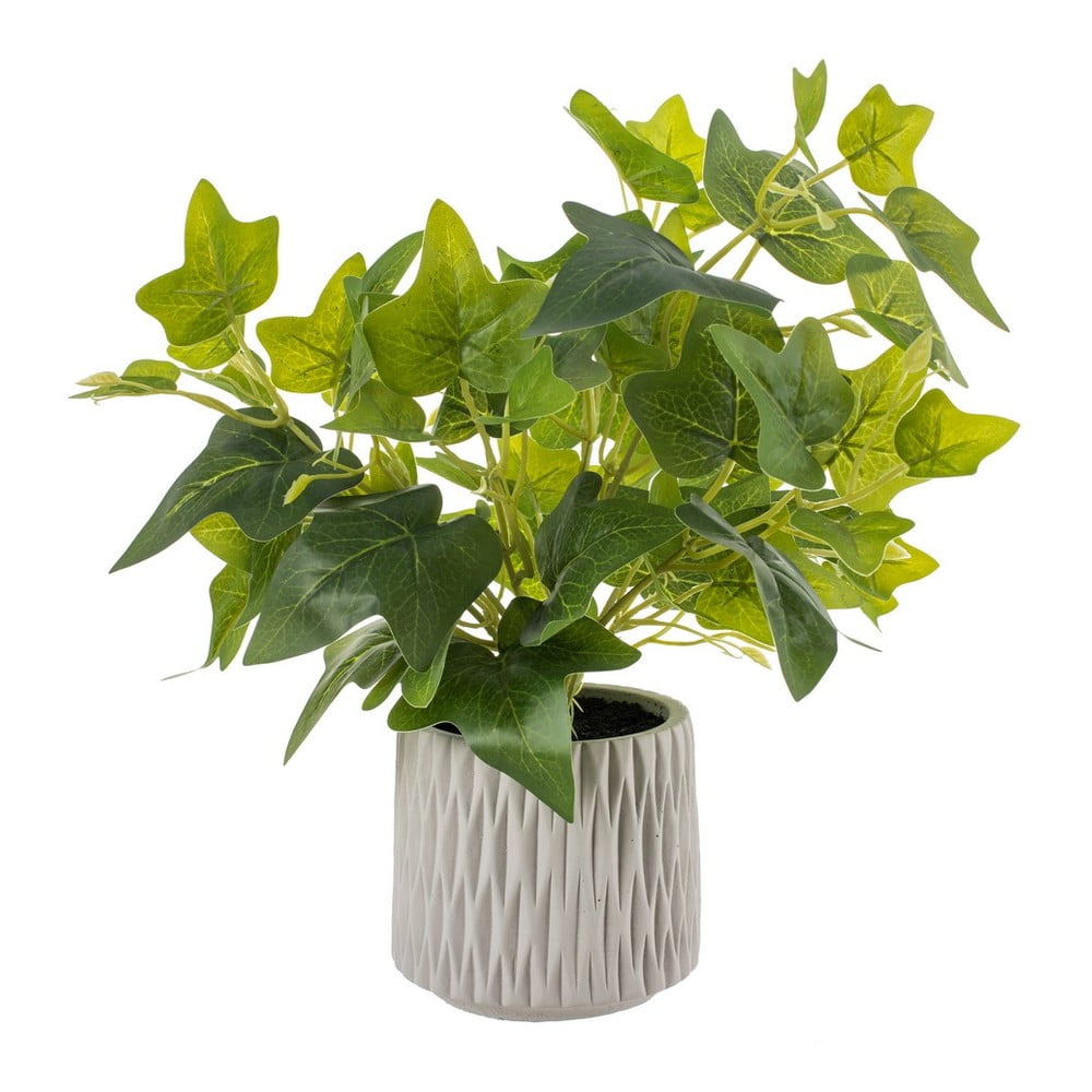 Műnövény (magasság 39 cm) Ivy – Ixia