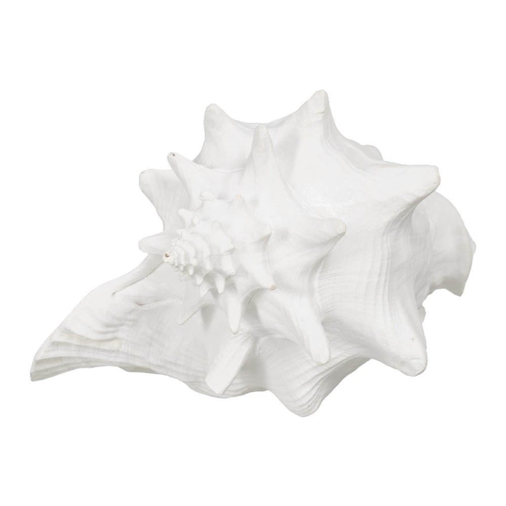 Poligyanta szobor (magasság 13 cm) Seashell – Ixia