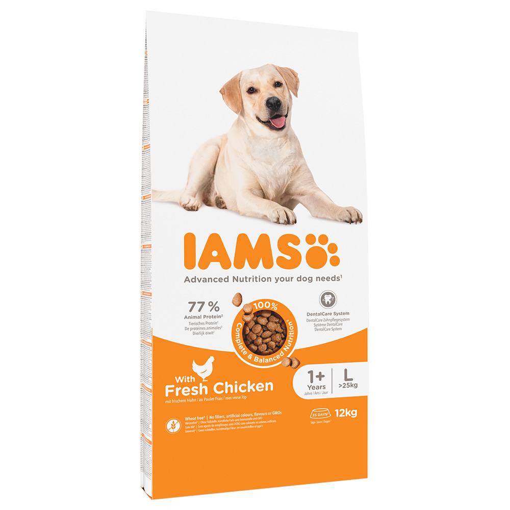 12kg IAMS Advanced Nutrition Adult Large Dog csirke száraz kutyatáp