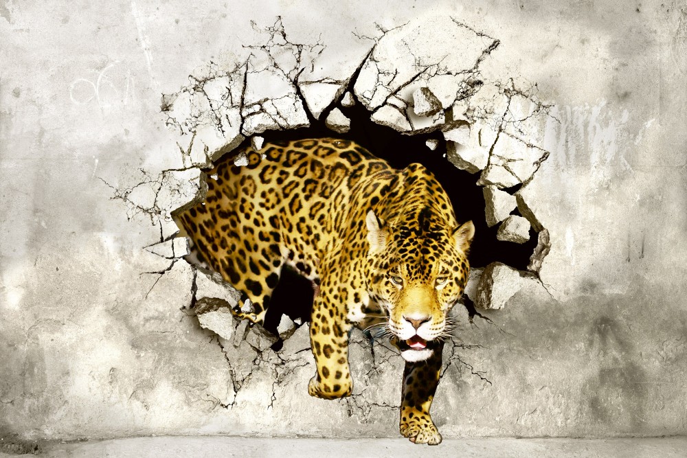 Falon áttörő tigris, poszter tapéta 375*250 cm