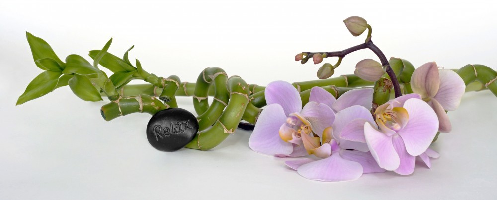 Orchidea matrica konyhába