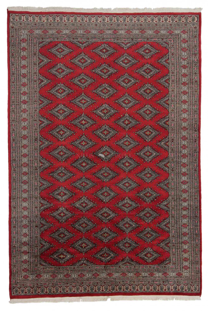 Pakisztáni szőnyeg Jaldar 167x248