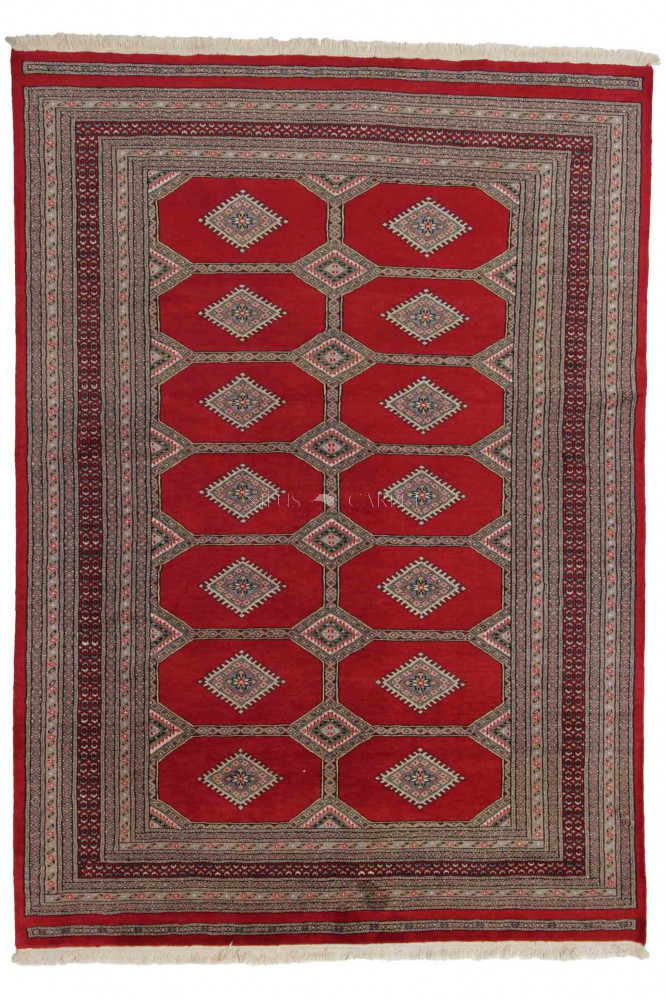 Pakisztáni szőnyeg Jaldar 168x237
