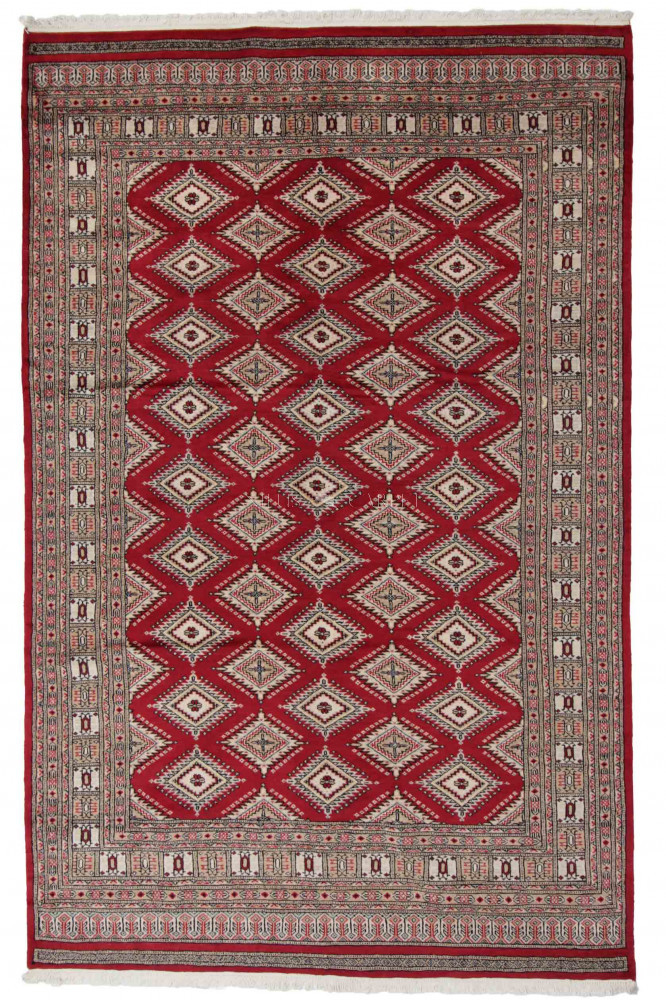 Pakisztáni szőnyeg Jaldar 168x259