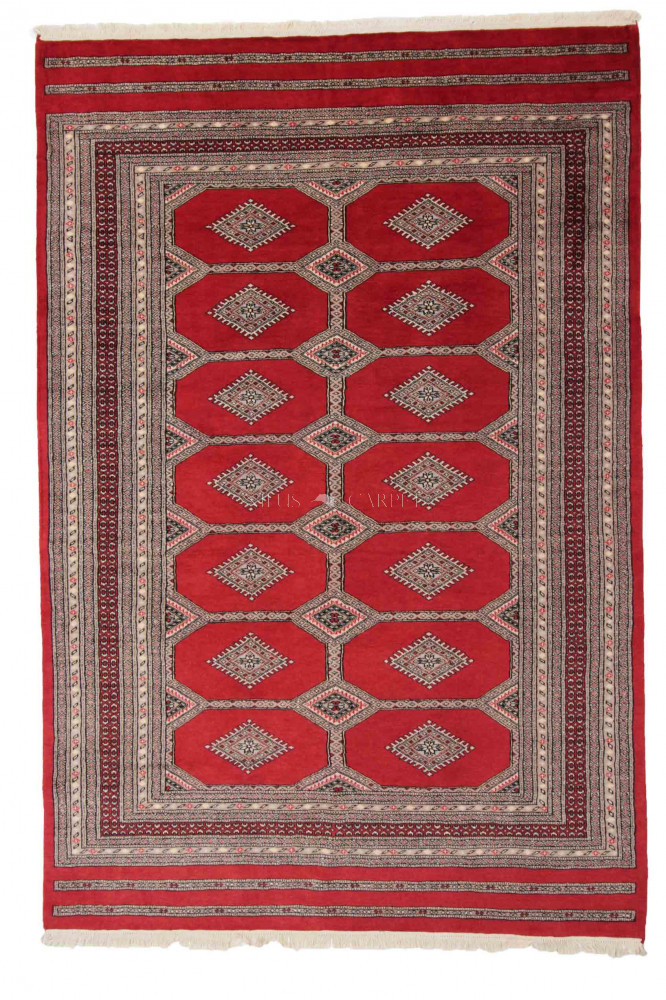 Pakisztáni szőnyeg Jaldar 169x250