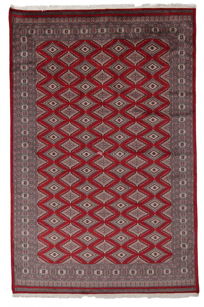 Pakisztáni szőnyeg Jaldar 198x302