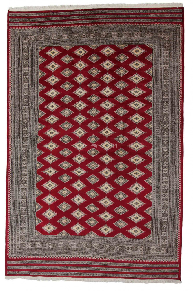 Pakisztáni szőnyeg Jaldar 201x306