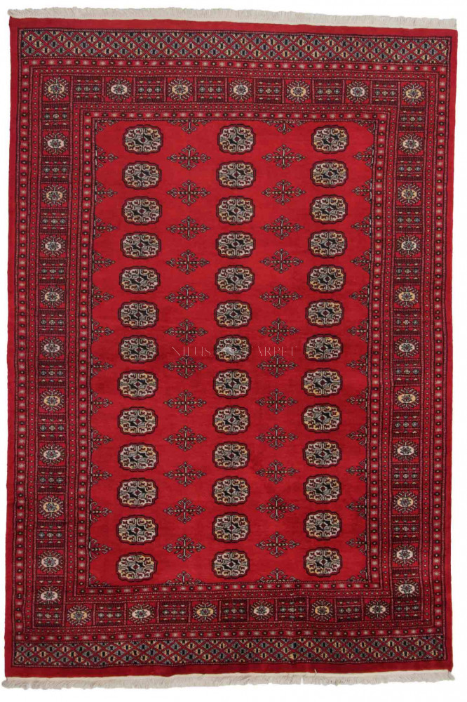 Pakisztáni szőnyeg Bokhara 167x243