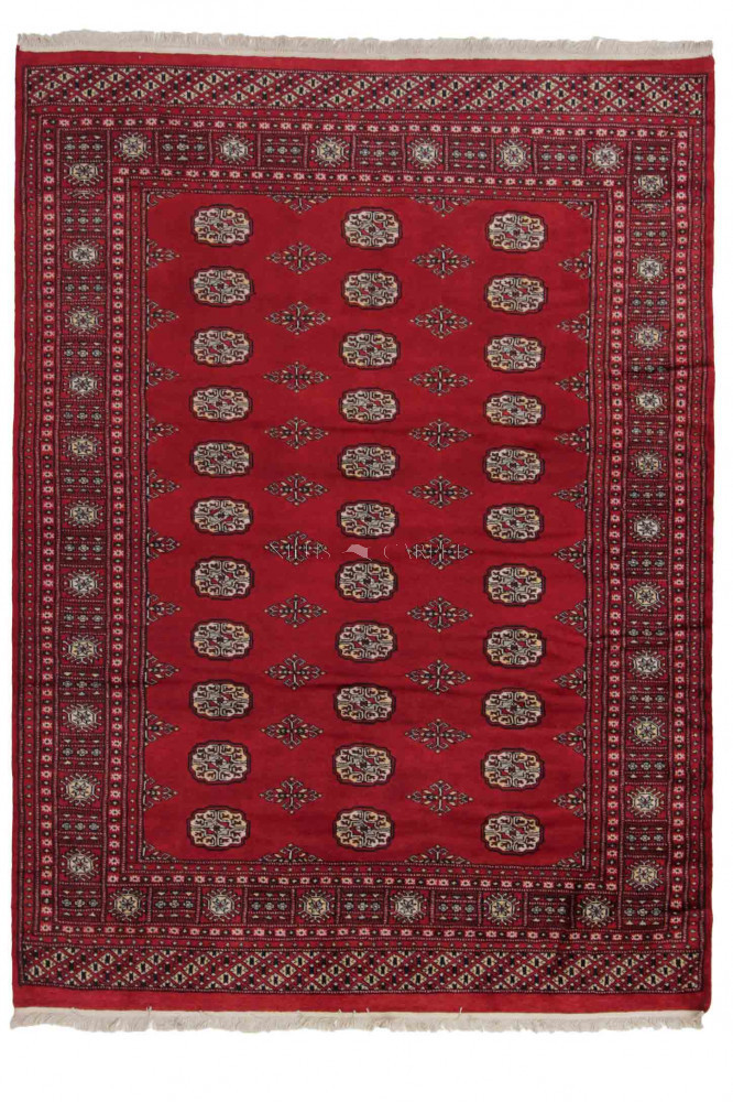 Pakisztáni szőnyeg Bokhara 168x229